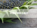 中国环境标志图片(中国环境标志包含哪些部分各部分的含义是什么)