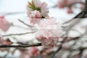 umbrella歌词……umbrella是什么意思英语？