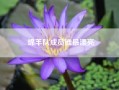 绵羊队成员谁最漂亮?摇啊笑啊桥绵羊队队长是谁?