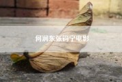 何润东张钧宁电影?何润东张钧甯主演的电视剧叫什么?