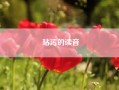 玷污的读音?玷污读音是什么?