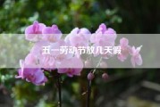 五一劳动节放几天假(2021年五一放假几天从几号到几号)