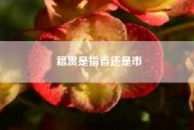 籍贯是指省还是市（“籍贯”的定义是什么？与“祖籍”如何区分）