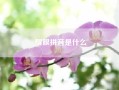 耀眼拼音是什么;谣字怎么组词?