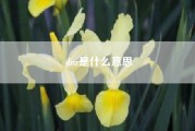 dnr是什么意思……psp游戏的dnr是什么意思？