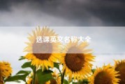 选课英文名称大全……“专业限选课”等如何翻译成英文？