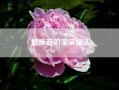 蟹味菇的家常做法~~蟹味菇为什么要焯水？