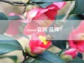 russet凯发体育百家乐官网 品牌,说一些颜色的英语?越多越好!?