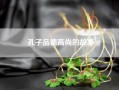 孔子品德高尚的故事？高尚的故事有哪些？