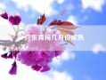 广东青梅几月份成熟？梅子成熟的季节是夏天还是春天？