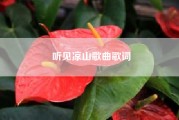 听见凉山歌曲歌词？普法栏目听见凉山中的歌曲有哪些？歌名全部？