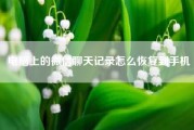 电脑上的微信聊天记录怎么恢复到手机　微信聊天记录不小心删除了没有备份过怎么恢复？