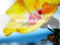 潮虫图片彻底消灭(怎样彻底消灭潮虫)