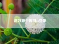 高效源于协同oa登录？懂视生活？