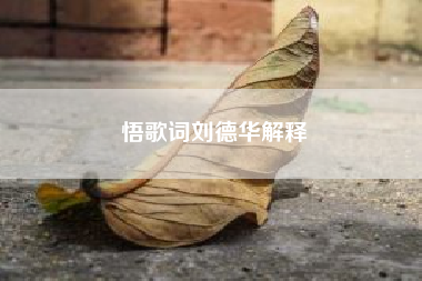 悟歌词刘德华解释--悟歌词什么意思?