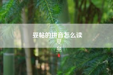 妥帖的拼音怎么读(妥帖的意思)