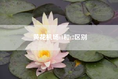 黄花机场t1和t2区别？黄花t2机场是哪里？