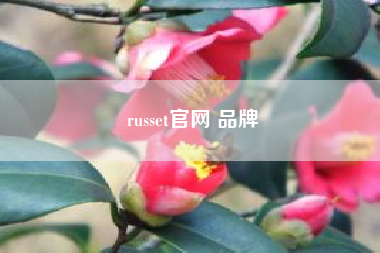 russet凯发体育百家乐官网 品牌,说一些颜色的英语?越多越好!?