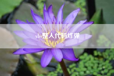 vbs整人代码炸弹(vbs整人代码)