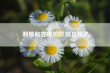 刹那和霎那的区别及用法~~“刹那”和“霎那”有什么区别