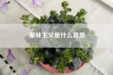 蒙昧主义是什么意思；蒙昧是什么意思