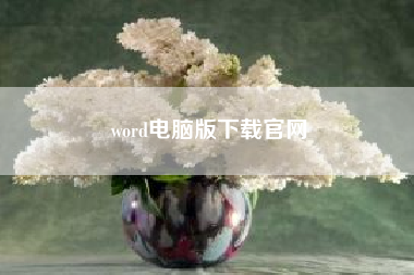 word电脑版下载凯发体育百家乐官网?word电脑版字体没颜色,手机有?